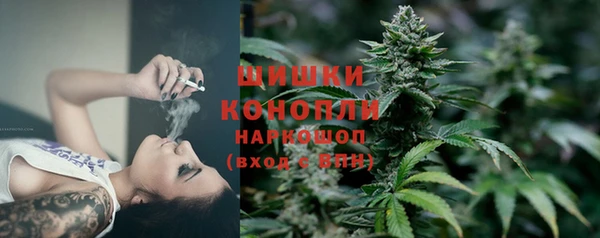 сатива Зеленокумск