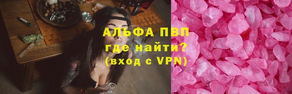 СК Зерноград