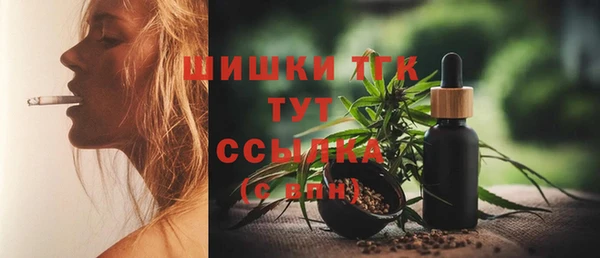 СК Зерноград