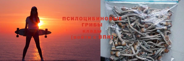 сатива Зеленокумск