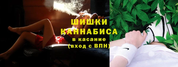 сатива Зеленокумск