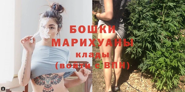 сатива Зеленокумск