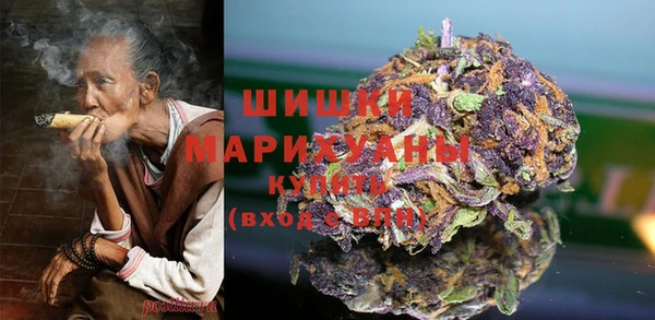 сатива Зеленокумск