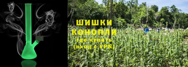 СК Зерноград