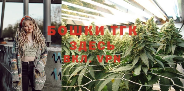 сатива Зеленокумск
