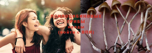 СК Зерноград