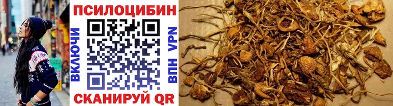Купить закладки Гусев Псилоцибиновые грибы мицелий